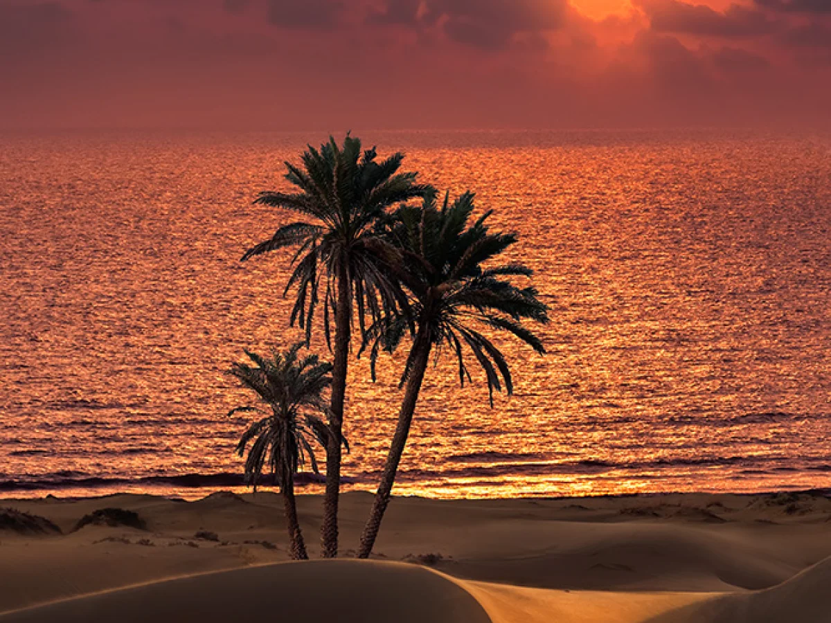 چابهار،هندوستان ایران